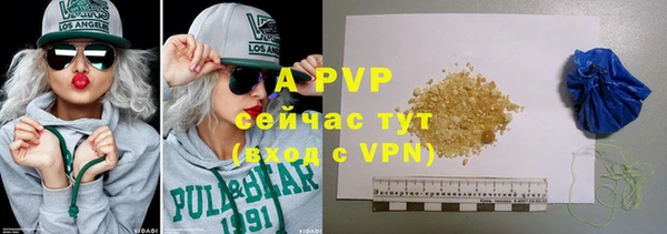 индика Арсеньев