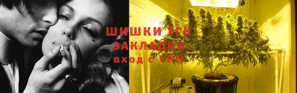 винт Аркадак
