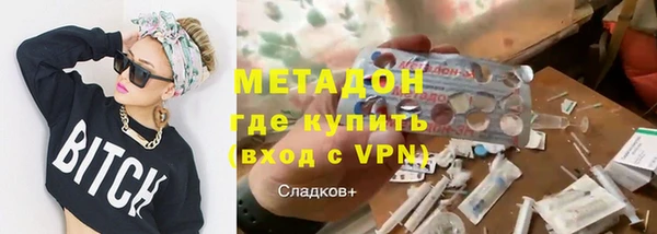 индика Арсеньев