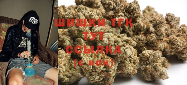 винт Аркадак