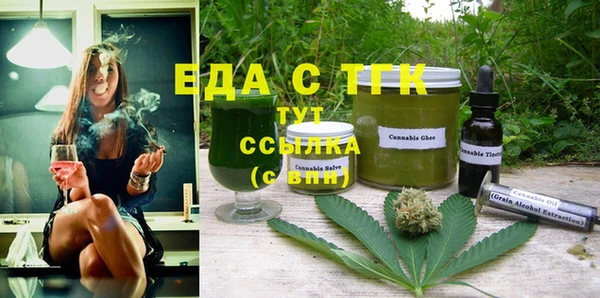 индика Арсеньев