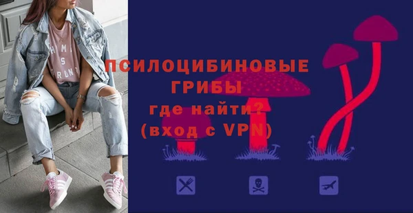 винт Аркадак