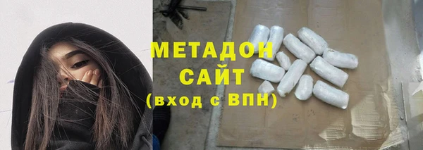 индика Арсеньев