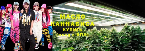 индика Арсеньев