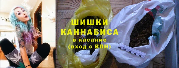 индика Арсеньев