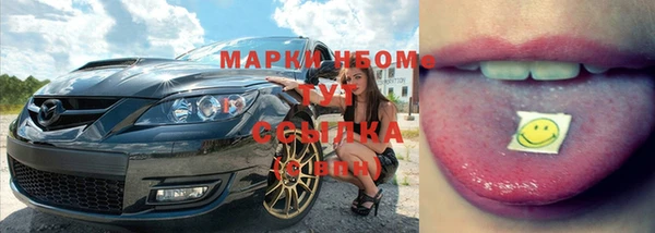 индика Арсеньев