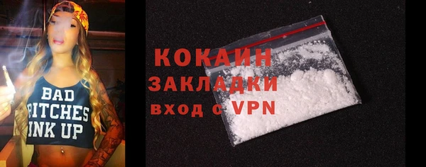 индика Арсеньев